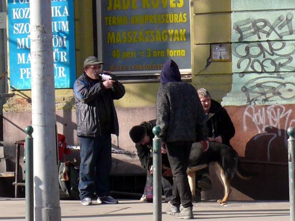 bicigli-hajlektalan.jpg