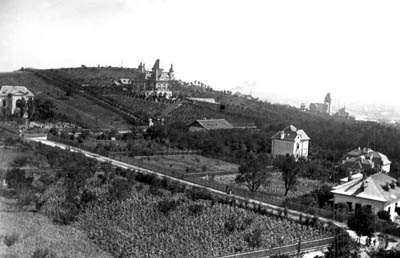 seta-rozsadomb.jpg